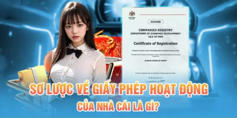 Giấy phép hoạt động là gì?